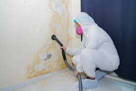 Mold Removal for HVAC Installations in Taft, TX